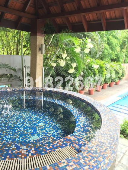 The Springs (D11), Apartment #106751712